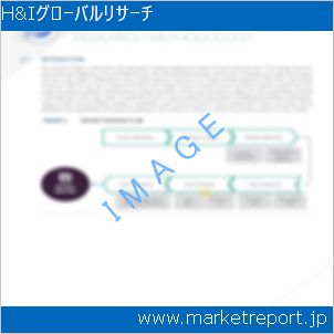 市場と産業調査レポートのイメージ